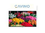 تلویزیون 43 اینچ ال ای دی هوشمند جی پلاس مدل GTV-43SH638NQ